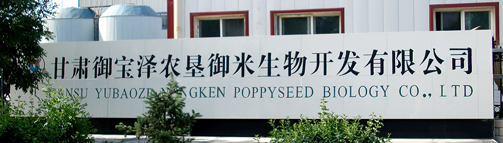 測試用圖片